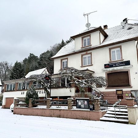 Au Wachtfels Bed & Breakfast Obersteinbach Exterior photo